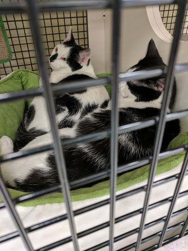 Pet Supply Store «Petco Animal Supplies», reviews and photos, 4632 Broadway, Allentown, PA 18104, USA