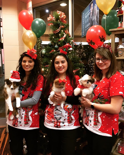 Pet Store «Furry Babies Inc», reviews and photos, 3340 Mall Loop Dr, Joliet, IL 60431, USA