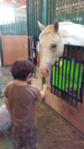 Museum «Marshall County Historical», reviews and photos, 808 E Johnson Ave, Warren, MN 56762, USA