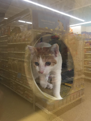 Pet Supply Store «Petco Animal Supplies», reviews and photos, 300 Hylan Dr, Rochester, NY 14623, USA