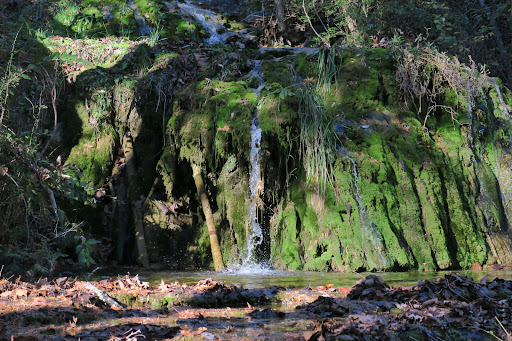 Grocery Store «Natural Bridge General Store», reviews and photos, 593 Wert Faulkner Hwy, Natural Bridge Station, VA 24579, USA