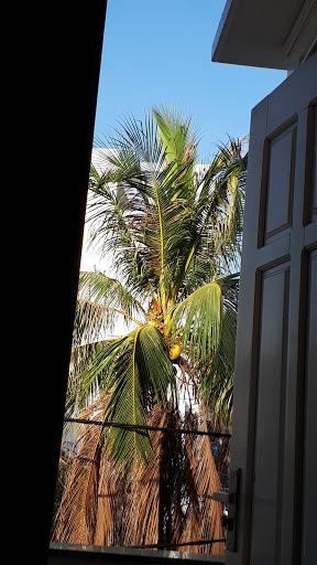 Truong Phat Guesthouse