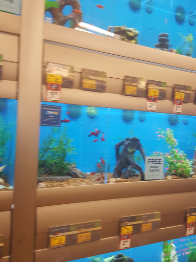 Pet Supply Store «PetSmart», reviews and photos, 1110 NY-112, Port Jefferson Station, NY 11776, USA