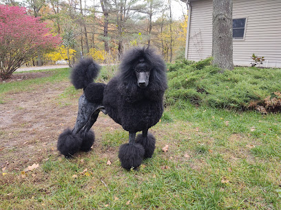 Standard Poodles of Forest Lakes