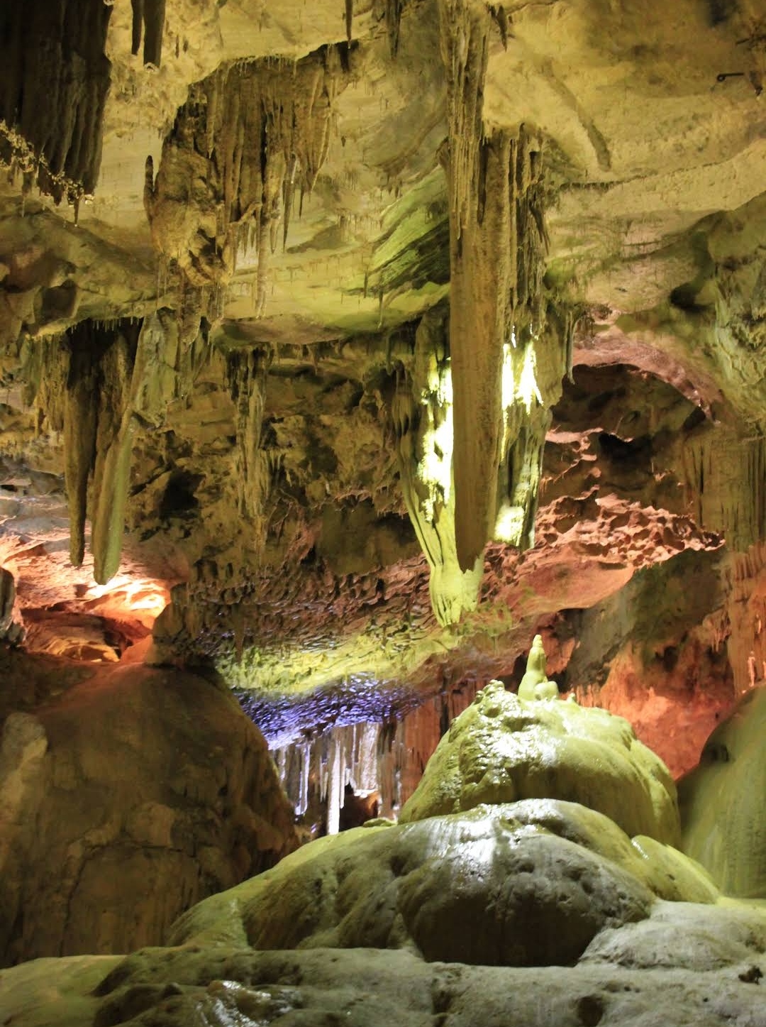 Photo n° 7 de l'avis de Martine.e fait le 07/07/2022 à 13:50