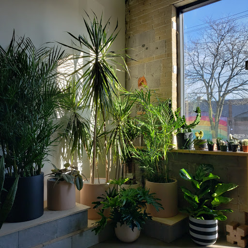 Dynasty Plant Shop