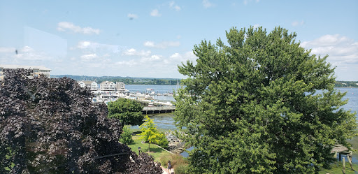 Museum «The Havre de Grace Maritime Museum», reviews and photos, 100 Lafayette St, Havre De Grace, MD 21078, USA