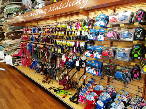 Pet Store «Pet Supermarket, Inc.», reviews and photos, 1938 FL-44 #40, New Smyrna Beach, FL 32168, USA