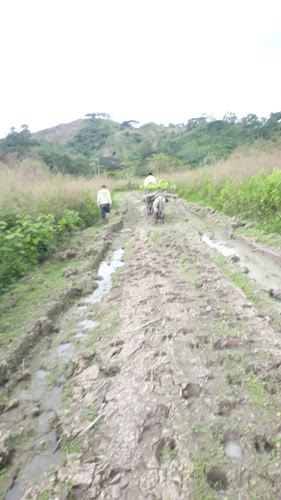 Recinto Jaboncillo, Quinindé, Ecuador