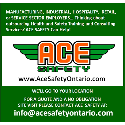 ACE SAFETY - HEALTH AND SAFETY TRAINING & CONSULTING SERVICES