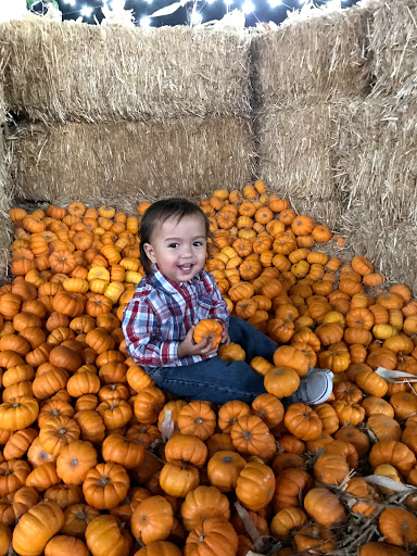 Buick Dealer «AutoNation Buick GMC Henderson», reviews and photos, 330 Old Gibson Rd, Henderson, NV 89014, USA