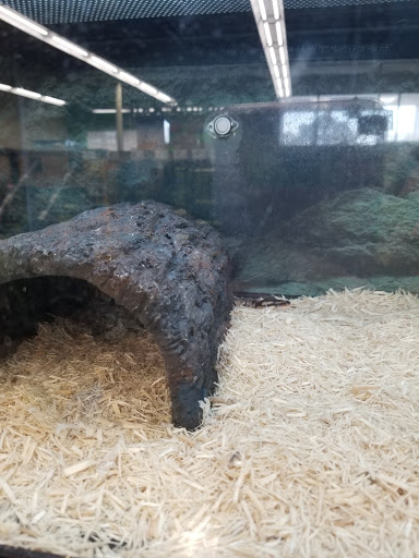 Pet Supply Store «Petco Animal Supplies», reviews and photos, 2824 Long Beach Rd, Oceanside, NY 11572, USA