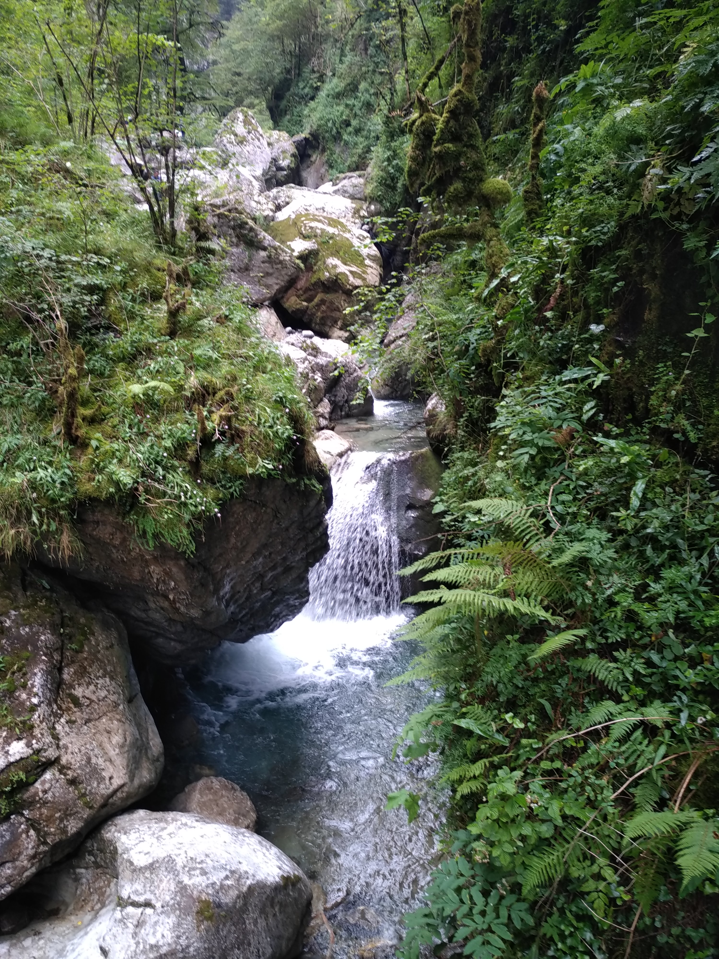 Photo n° 3 de l'avis de Wil.i fait le 31/07/2018 à 18:36