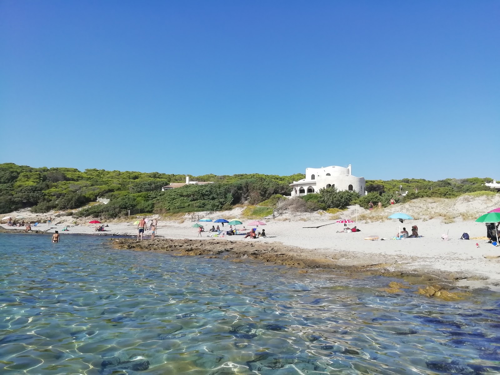 Porto pineddu beach'in fotoğrafı vahşi alan