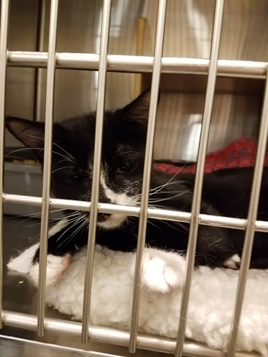 Pet Supply Store «PetSmart», reviews and photos, 1265 N Davis Rd, Salinas, CA 93907, USA