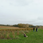 Photo n° 1 de l'avis de Tahar.o fait le 28/10/2020 à 10:36 pour Les 2 Cueillettes de Compans à Compans