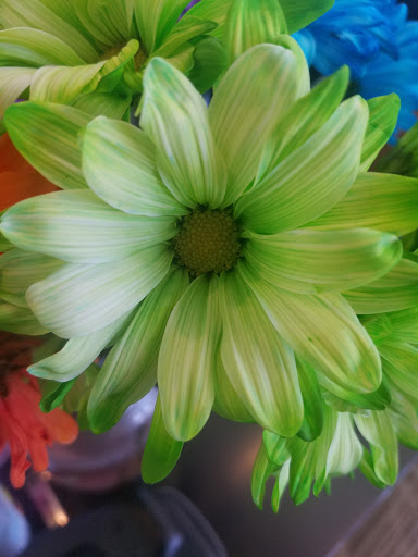 Pet Supply Store «PetSmart», reviews and photos, 13600 Baltimore Ave, Laurel, MD 20707, USA