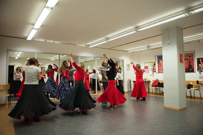 Sevillanas y Flamenco Basel Alejandrina