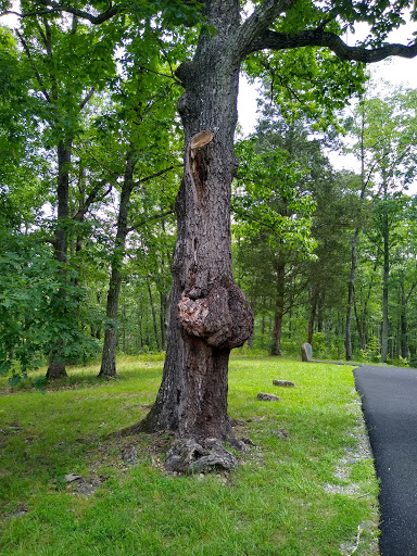 National Park «Kings Mountain National Military Park», reviews and photos, 2625 Park Rd, Blacksburg, SC 29702, USA