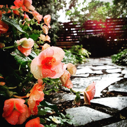 Cafe «Café Duet», reviews and photos, 35 N 7th St, Stroudsburg, PA 18360, USA