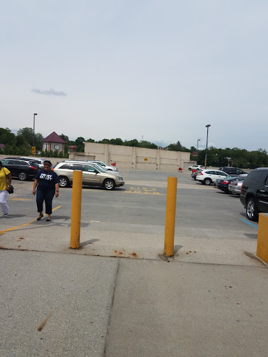 Pet Supply Store «Petco Animal Supplies», reviews and photos, 500 E Sandford Blvd #570, Mt Vernon, NY 10550, USA