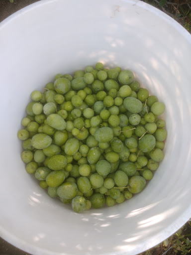 Grocery Store «Rio Ranch Market», reviews and photos, 9001 Mission Boulevard, Riverside, CA 92509, USA