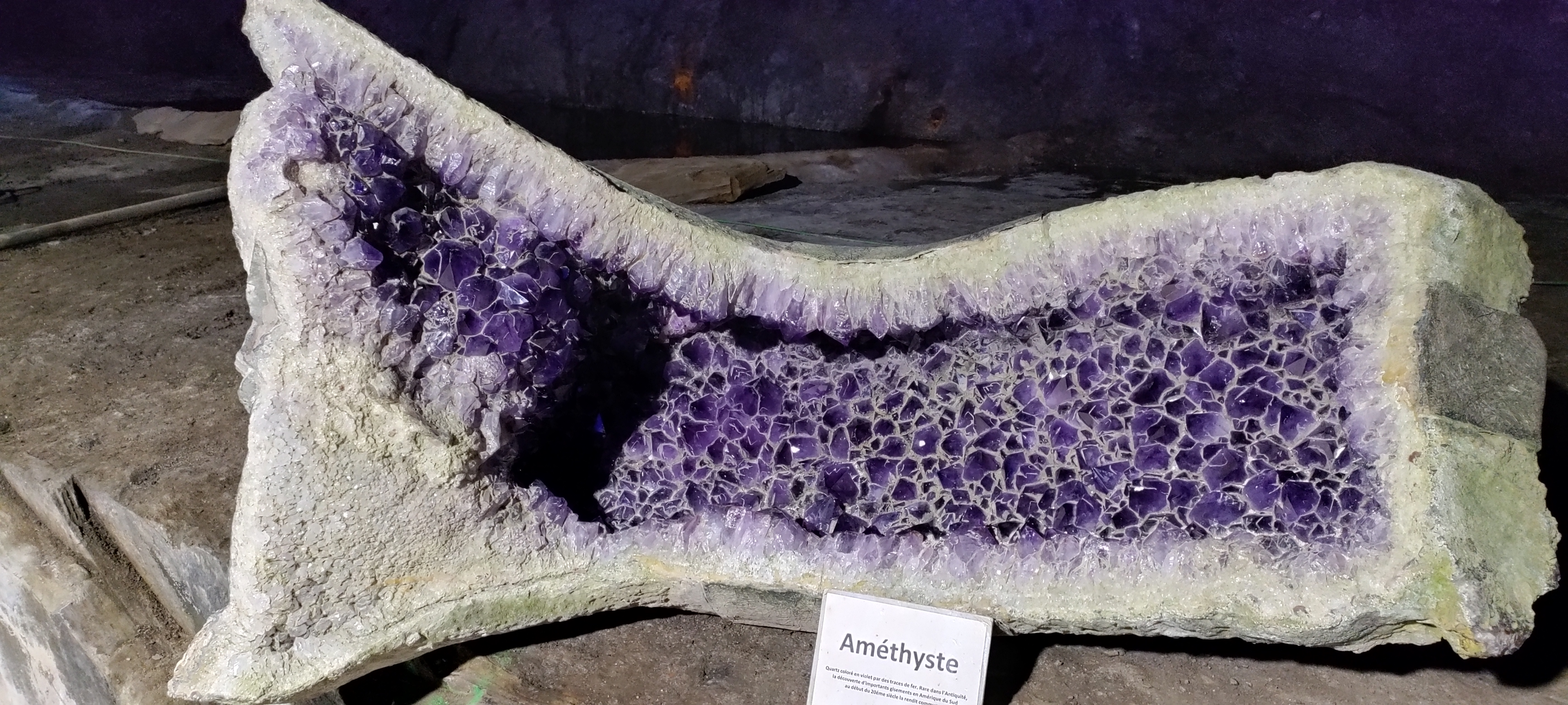 Photo n° 4 de l'avis de Laëtitia.e fait le 20/04/2023 à 16:26