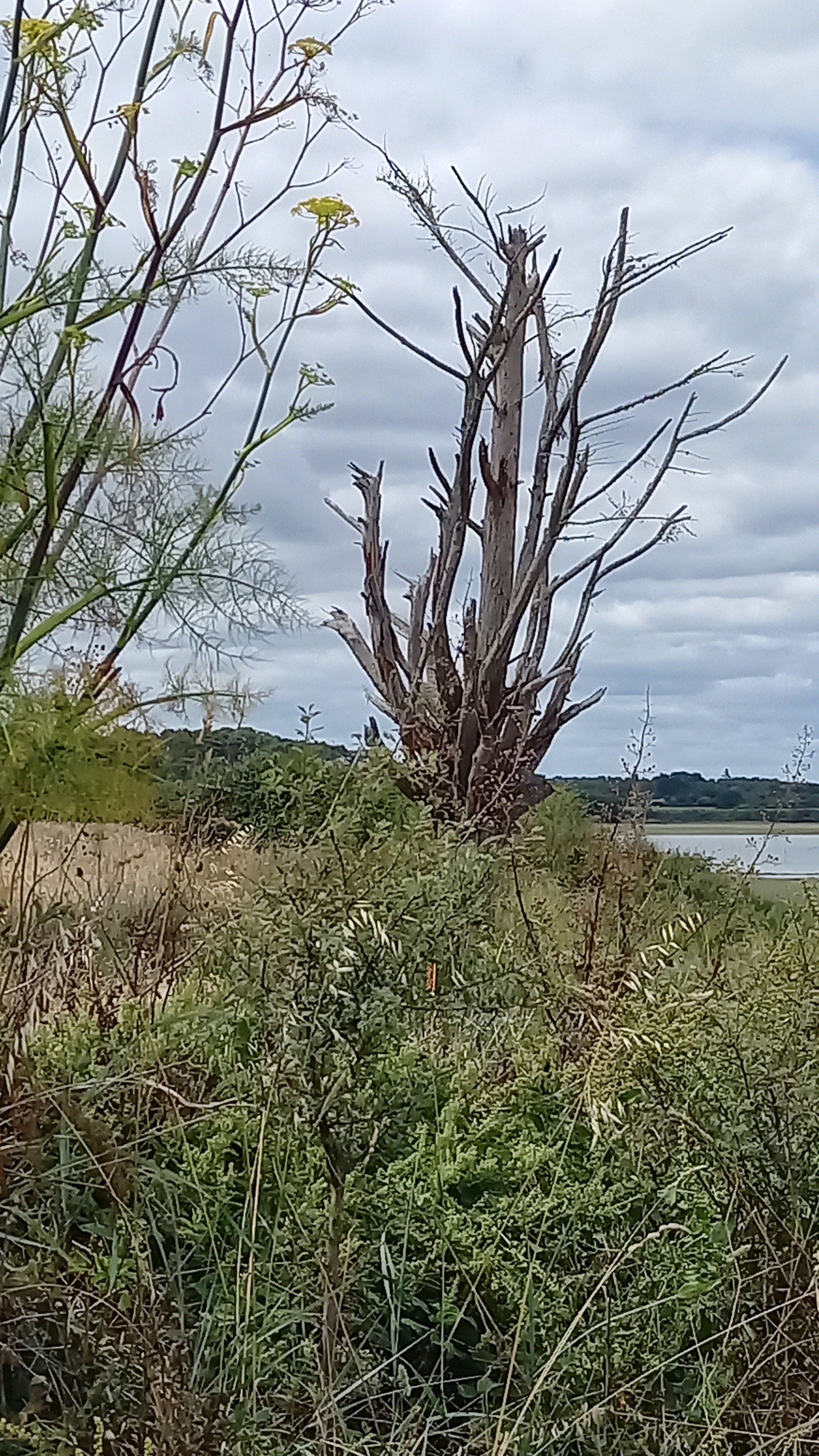 Photo n° 2 de l'avis de Marie-Thérèse.r fait le 03/07/2022 à 15:32
