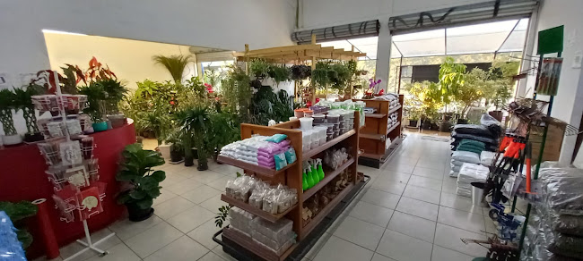 Comentários e avaliações sobre Mary Mudas - Árvores Frutíferas, Flores e Plantas Ornamentais Curitiba.