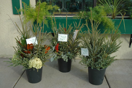 Florist «Forget-Me-Not Florist», reviews and photos, 501 Water St S, Northfield, MN 55057, USA