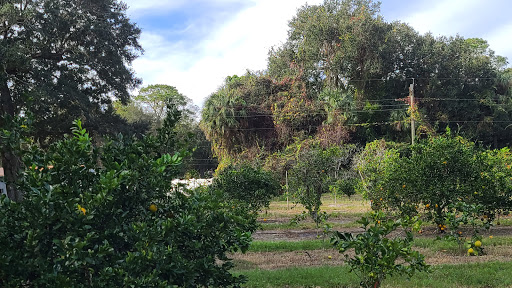 Farm «Butrico Groves Orange Grove», reviews and photos, 6065 Magnolia St, Mims, FL 32754, USA