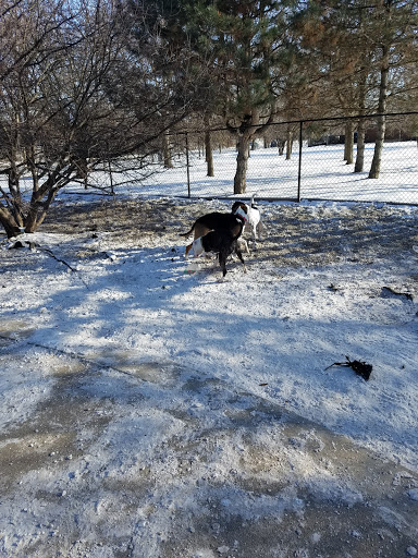 Dog Park «Norwood Park Dog Friendly Area», reviews and photos, 5850 N Avondale Ave, Chicago, IL 60631, USA