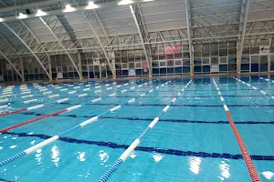 October 29 SD Olympic Swimming Pool image