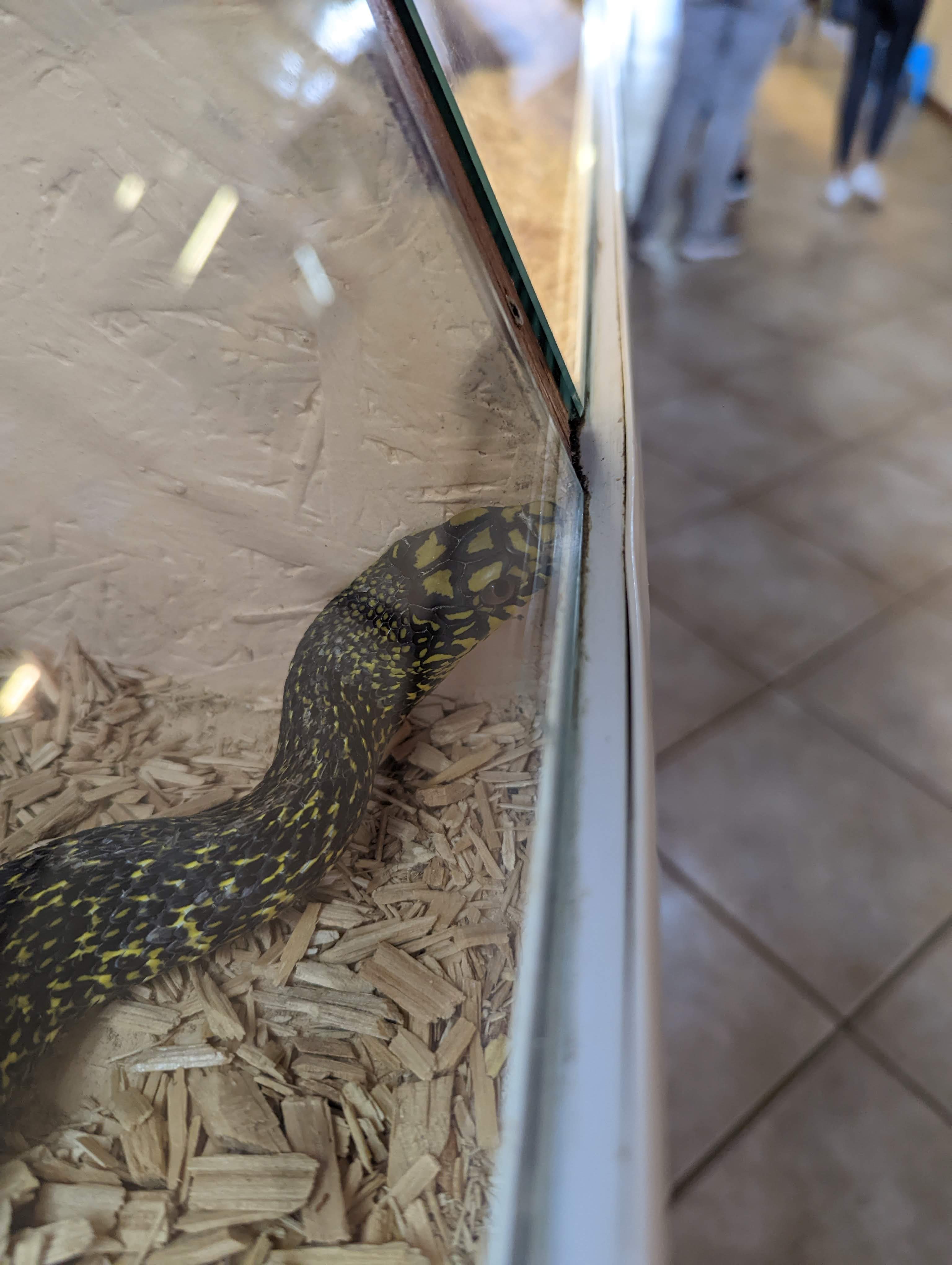 Photo n° 17 de l'avis de Mathieu.I fait le 07/05/2022 à 19:56