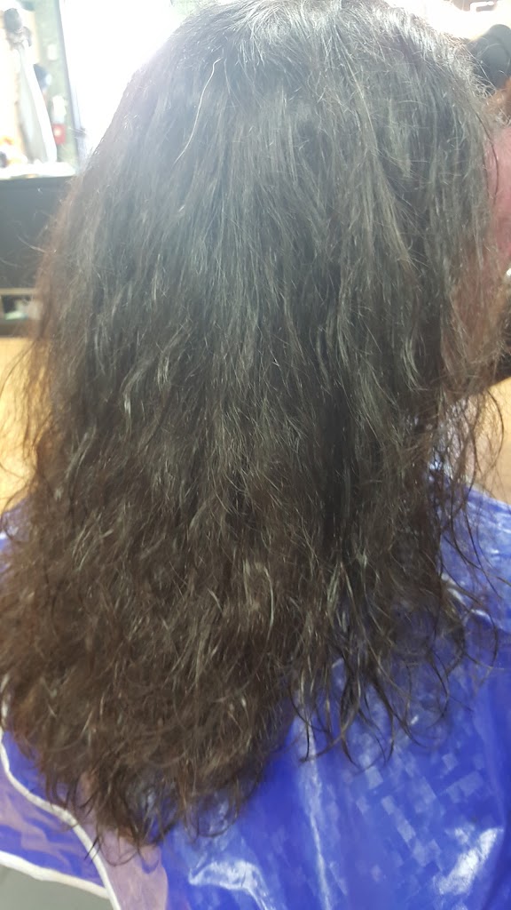 Lee's Cuts 84118