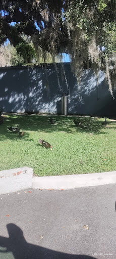 Event Venue «Highland Manor», reviews and photos, 604 E Main St, Apopka, FL 32703, USA