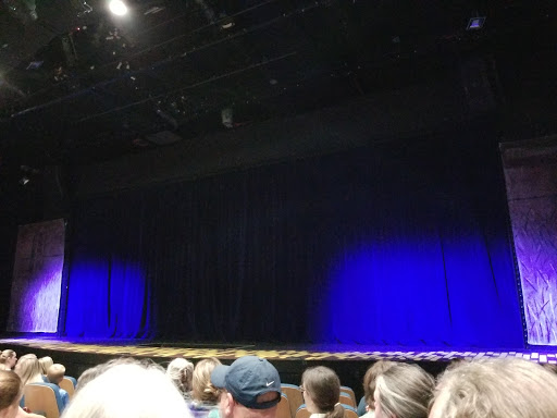 Performing Arts Theater «Asheville Community Theatre», reviews and photos, 35 E Walnut St, Asheville, NC 28801, USA