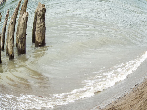 Park «Sellwood Riverfront Park», reviews and photos, SE Oaks Park Way, Portland, OR 97202, USA