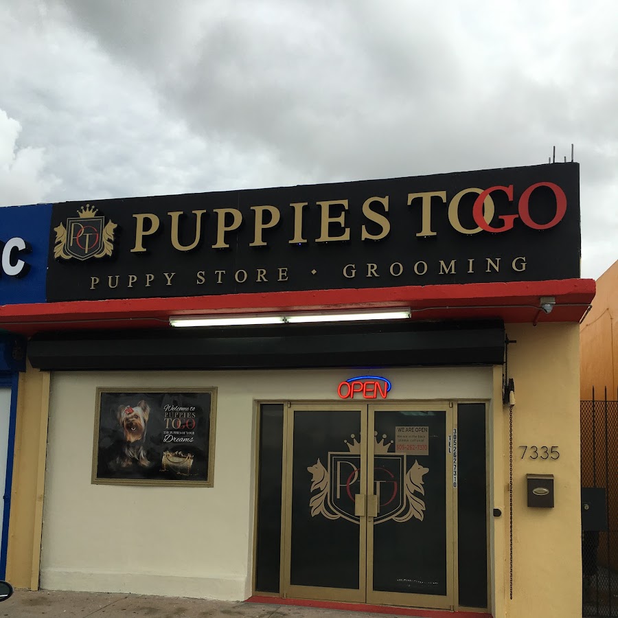 Puppies To Go reviews