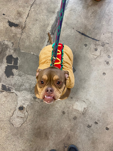 Pet Supply Store «Fang & Feather - Kenton Neighborhood Pet Supply», reviews and photos, 3131 N Lombard St, Portland, OR 97217, USA