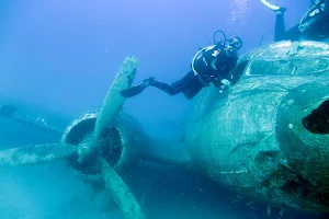 Stingray Diving image