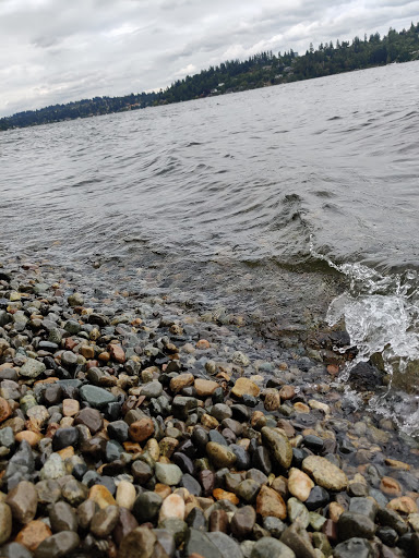 Park «Luther Burbank Park», reviews and photos, 2040 84th Ave SE, Mercer Island, WA 98040, USA