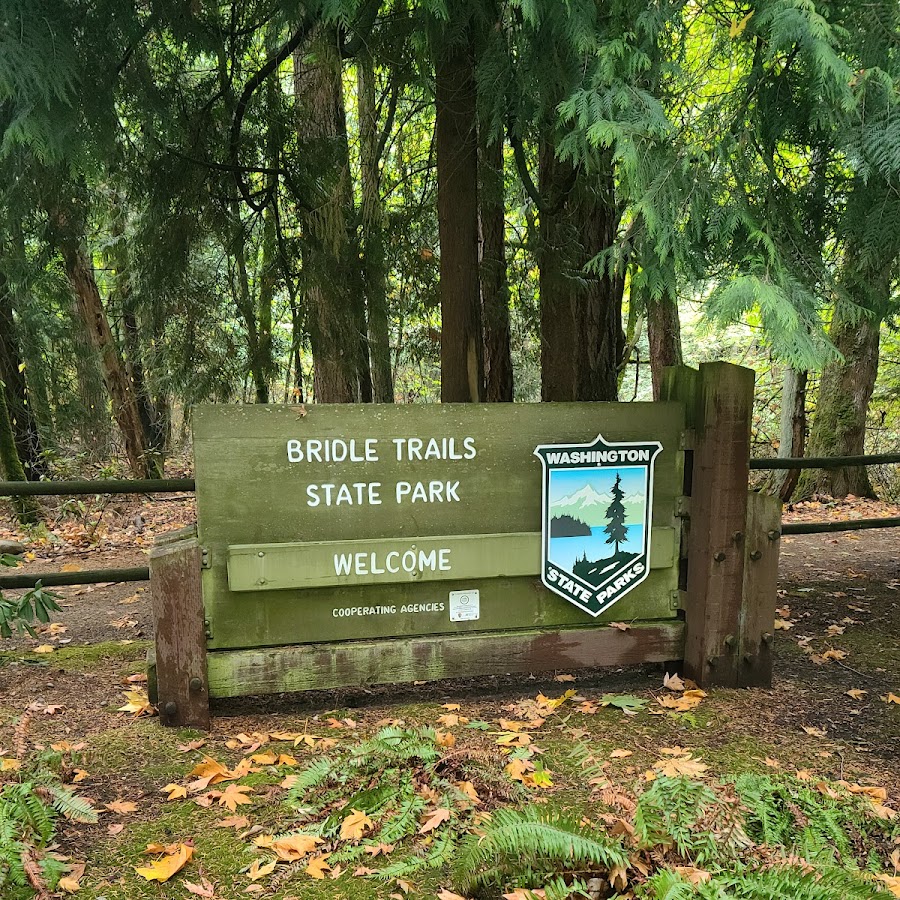Bridle Trails State Park