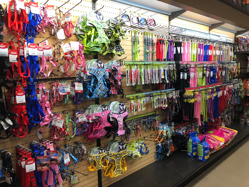 Pet Store «Gentle Jungle Pet Store», reviews and photos, 470 Lewis Ave, Meriden, CT 06451, USA