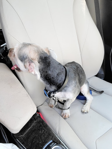 Pet Supply Store «Petco Animal Supplies», reviews and photos, 8164 Mall Pkwy, Lithonia, GA 30038, USA