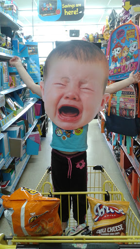 Discount Store «Dollar General», reviews and photos, 9522 E M 21, Ovid, MI 48866, USA