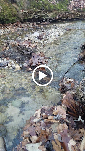 National Park «Petersburg National Battlefield Park Trailhead», reviews and photos, 5001 Siege Rd, Petersburg, VA 23804, USA