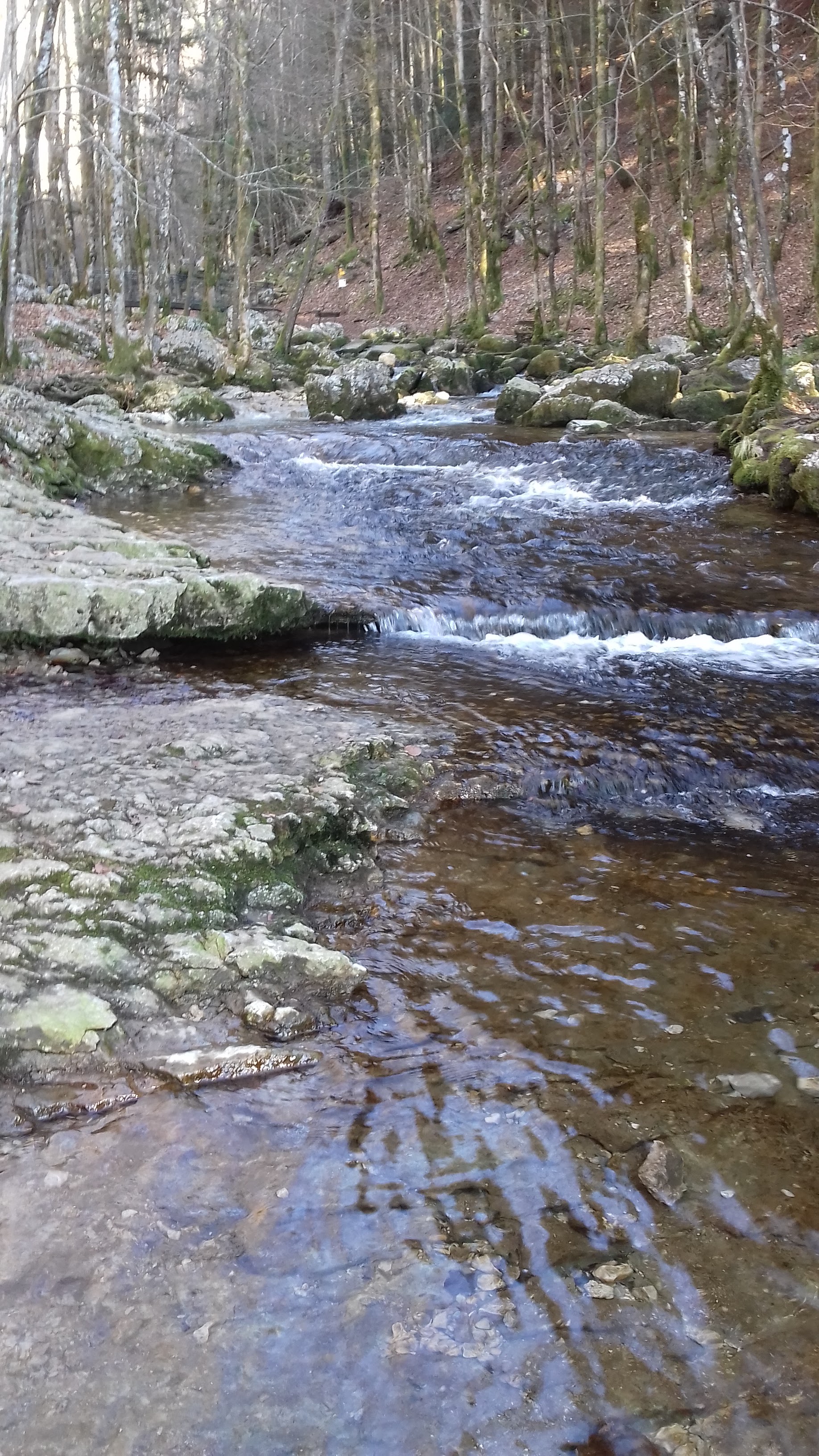 Photo n° 2 de l'avis de Jean.e fait le 27/02/2019 à 15:59