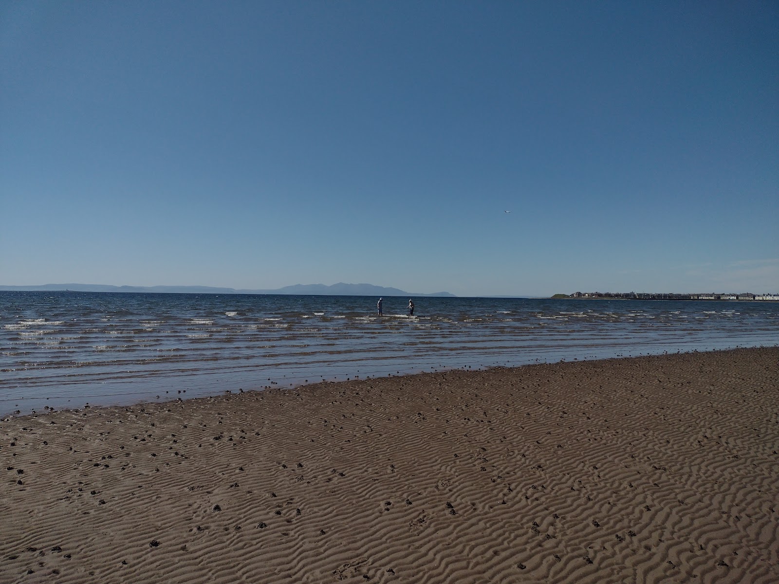 Photo of Troon Beach - good pet friendly spot for vacation