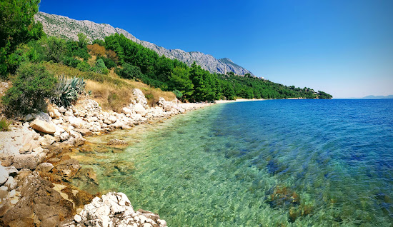Djevicanska beach
